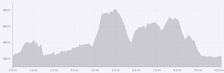 Bluebell Trail Race Elevation Profile