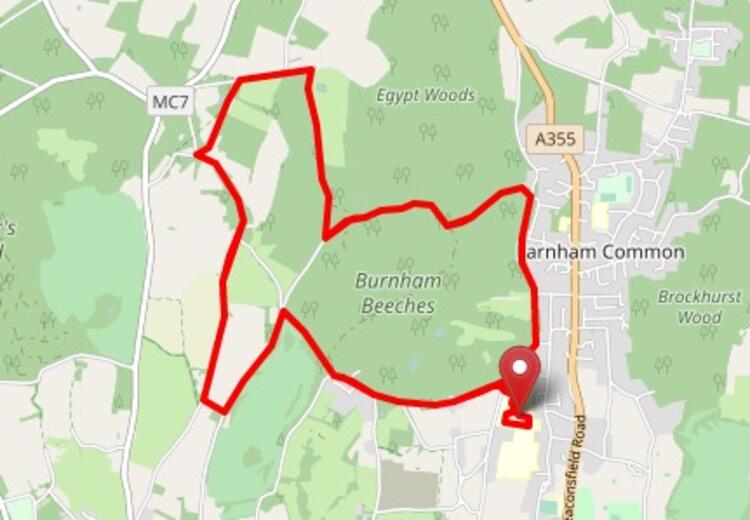 Burnham Beeches Half Marathon Race Route Map